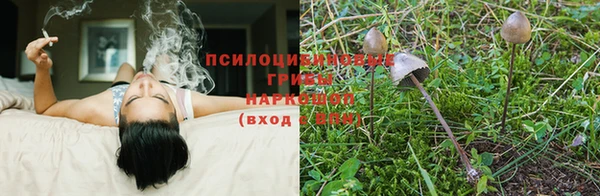 МДМА Кинешма
