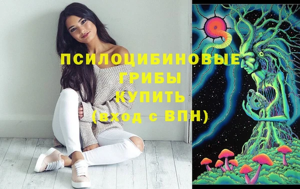 прущий лед Киреевск